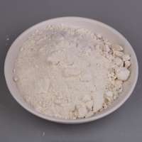 ceramic calcined talc  powder for industrial